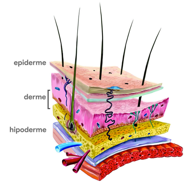 Mapeamento Facial